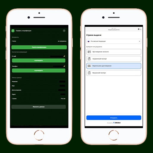 Верификация